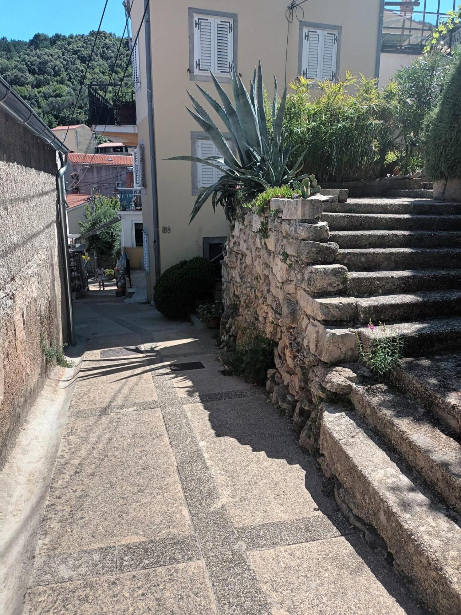 Apartment Desanti Valun Εξωτερικό φωτογραφία